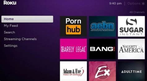 pornhub channel roku|List of Roku Porn Channels & Apps: Best Alternatives in 2024